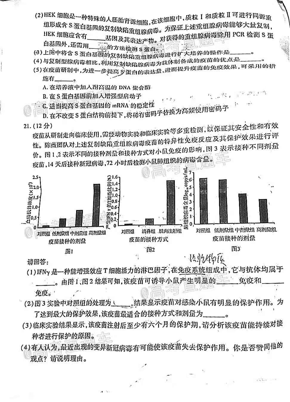 新澳门2024年正版免费公开|讲解词语解释释义